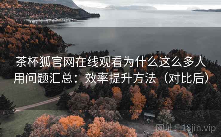 茶杯狐官网在线观看为什么这么多人用问题汇总：效率提升方法（对比后）