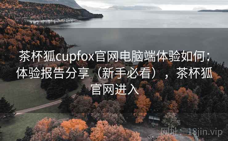 茶杯狐cupfox官网电脑端体验如何：体验报告分享（新手必看），茶杯狐官网进入
