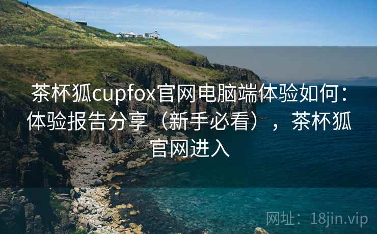 茶杯狐cupfox官网电脑端体验如何：体验报告分享（新手必看），茶杯狐官网进入