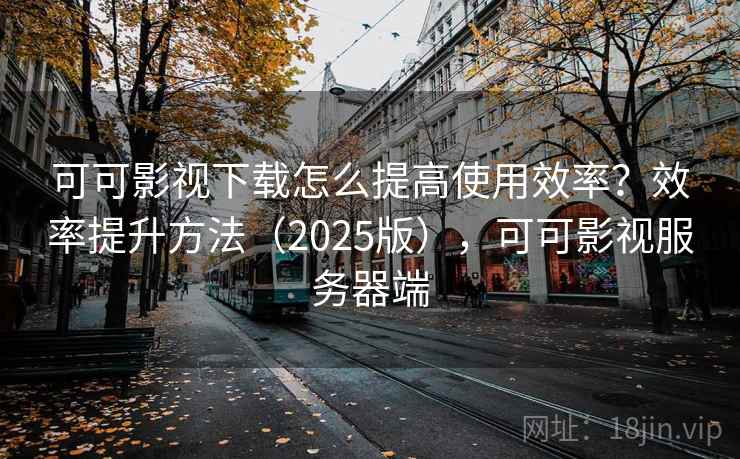 可可影视下载怎么提高使用效率？效率提升方法（2025版），可可影视服务器端