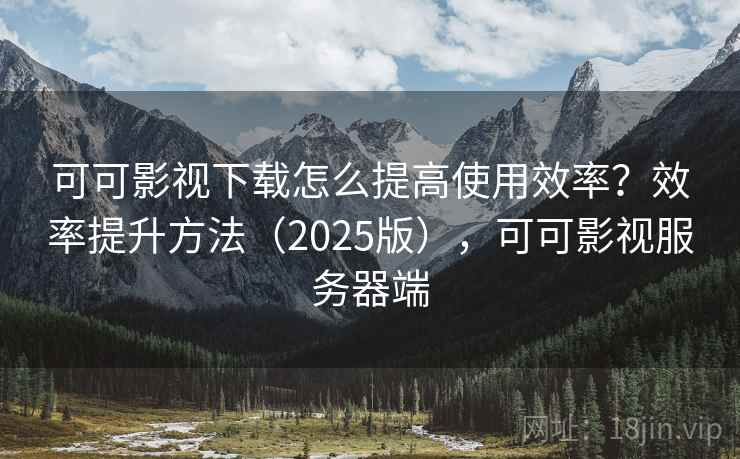 可可影视下载怎么提高使用效率？效率提升方法（2025版），可可影视服务器端