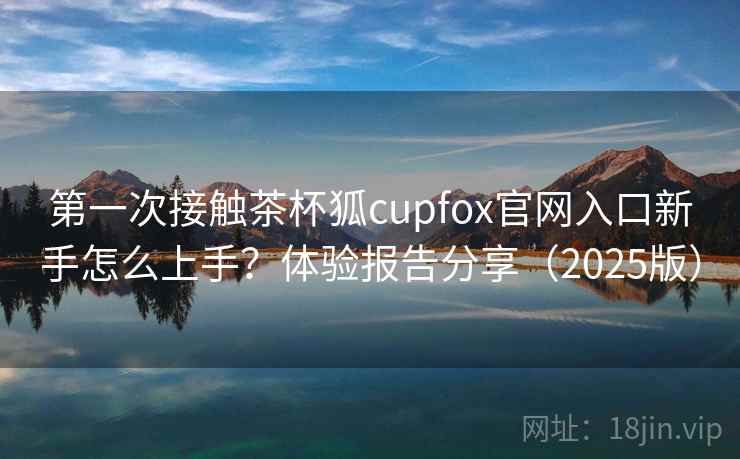 第一次接触茶杯狐cupfox官网入口新手怎么上手？体验报告分享（2025版）