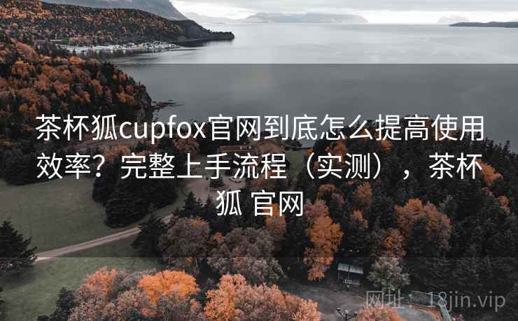 茶杯狐cupfox官网到底怎么提高使用效率？完整上手流程（实测），茶杯狐 官网
