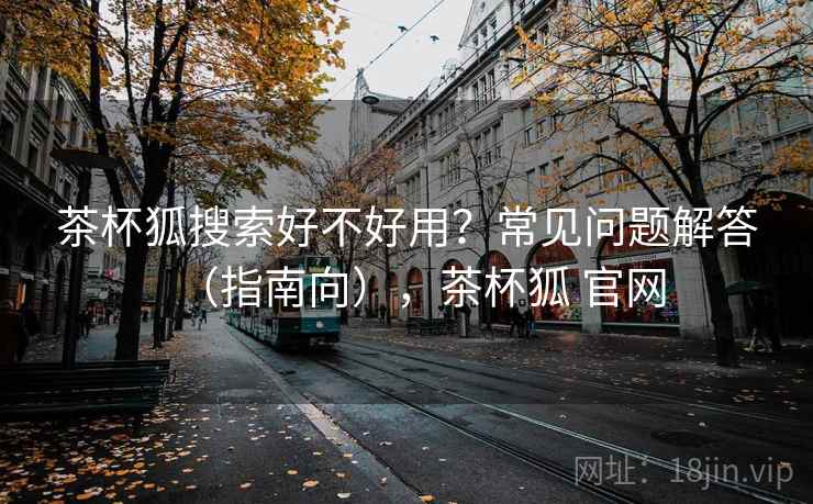 茶杯狐搜索好不好用？常见问题解答（指南向），茶杯狐 官网